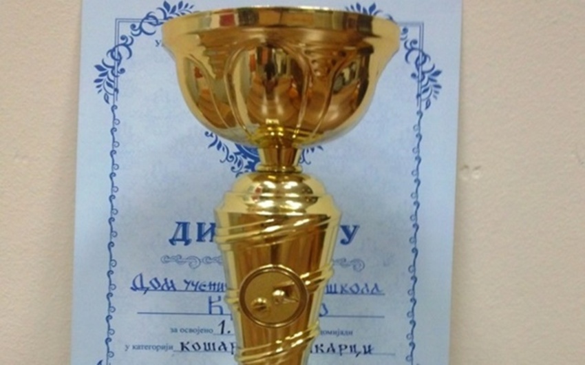 Regionalna domijada Vrnjačka Banja 2015.g.